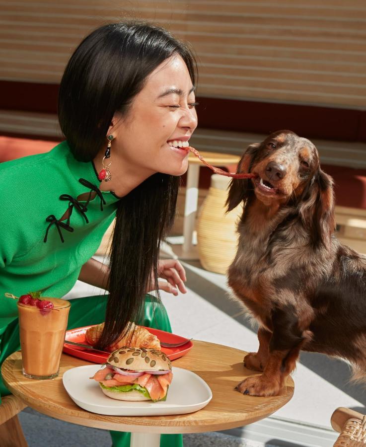 Hotel The Standard, HHQ Exterior foto A woman feeding her dog